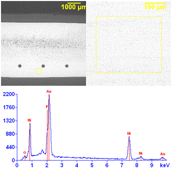 EDS spectrum of ENIG surface