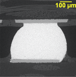 BGA Joint Microsection