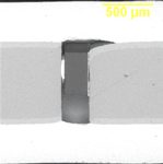 PIN Diode section
