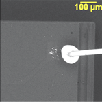 Lifted Ball Bond