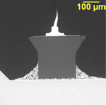 LED Microsection