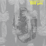 CAF Failure planar section