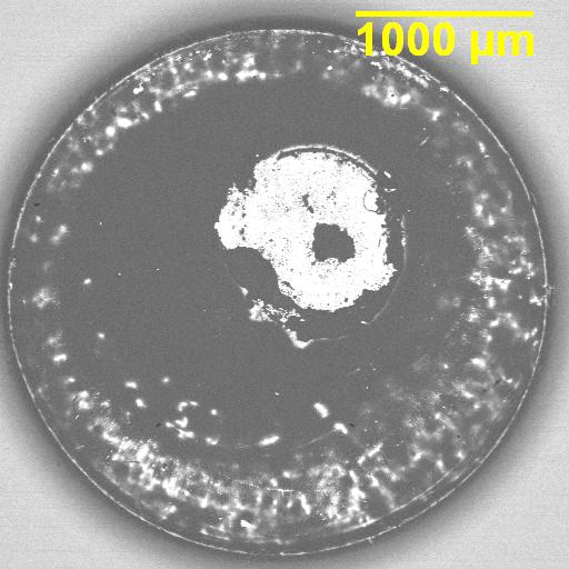 Preview image for Case 2301