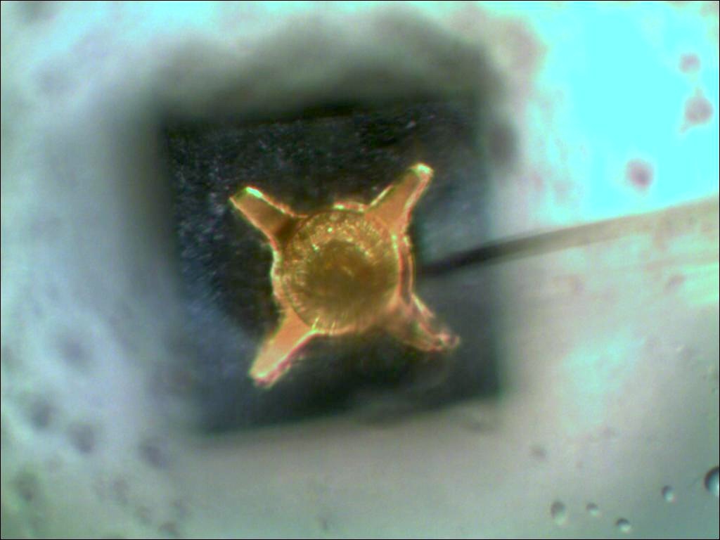 Preview image for Case 2386