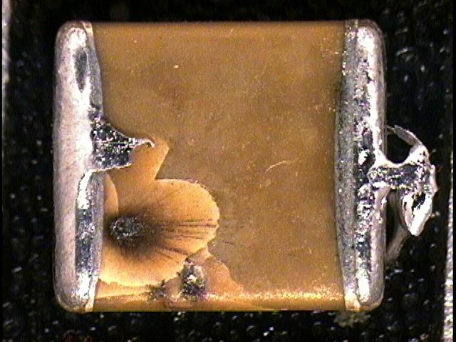 Preview image for Case 1320