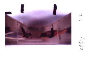 Preview image for Case 88