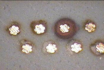 Preview image for Case 1836