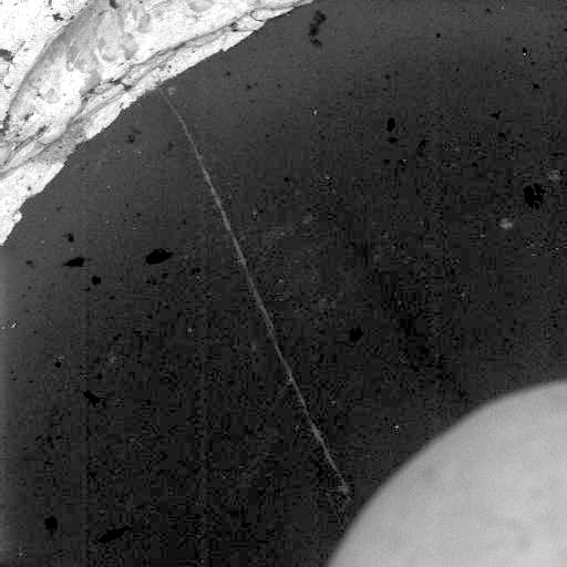 Preview image for Case 1341