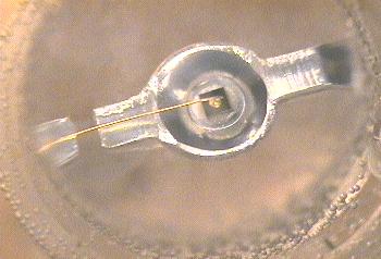 Preview image for Case 1967