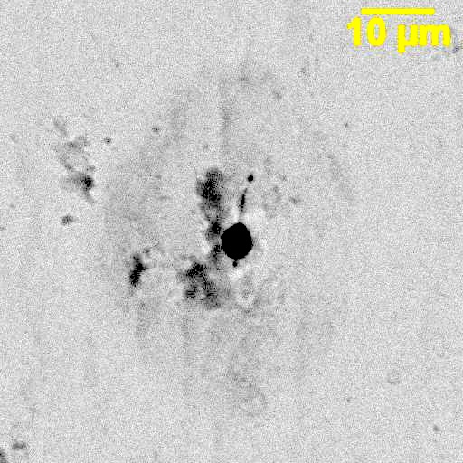 Preview image for Case 1890