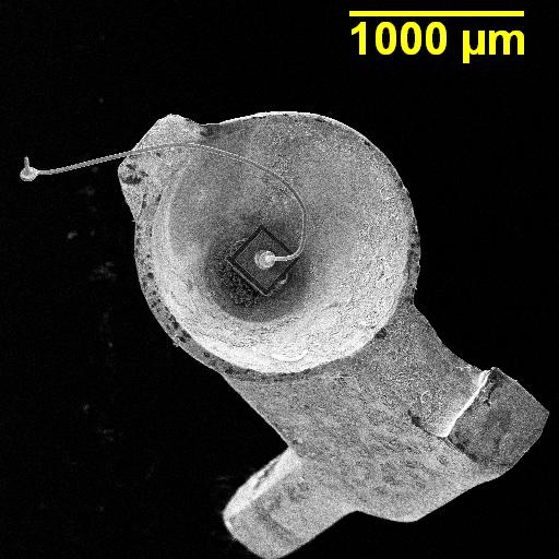 Preview image for Case 1599
