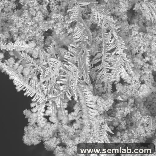 Dendritic electromigration example