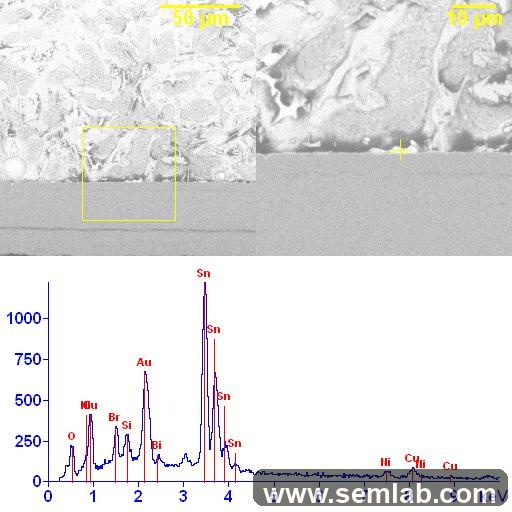 Residual gold plating at the solder interface with supporting EDS