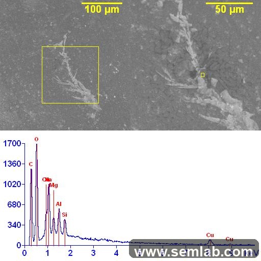 Dendritic growth on the contact surface of conformal coating