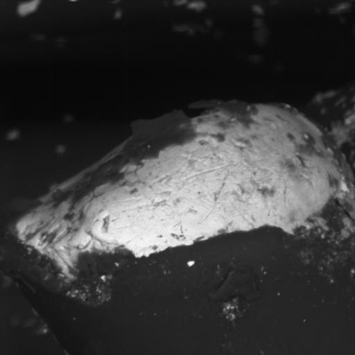 Higher magnification SEM image of peened broken magnet wire end