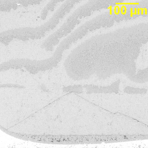 MLCC microsection showing a flexure fracture intersecting capacitor plates