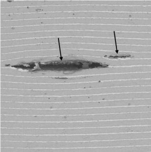 Multilayer Chip Capacitor (MLCC) flaws.