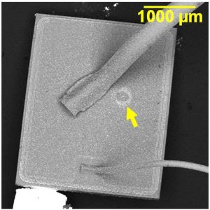 Breakdown site is located near the source wire bond.