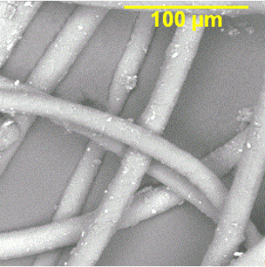 SEM image of cashmere and llama wool.