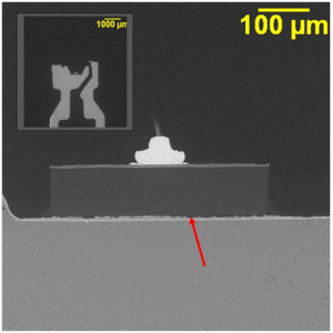 LED microsection where the open circuit failure was caused by the die and lens material separating from the bottom of the cup and rupturing the die attachment.