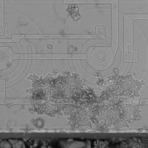 Electrical overstress (EOS) damage on metallization run on Op-Amp IC.