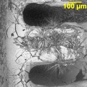 This crystal growth is the result of electro-chemical-migration (ECM) of the solder finish on the IC leads.