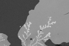 Dendritic growth on a PCBA.