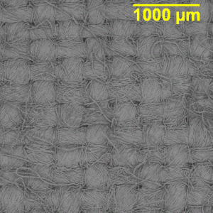 SEM image of high Quality cotton fabric.