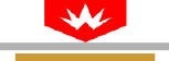 highenergymetals