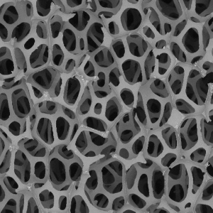 SEM image of a ceramic sample.