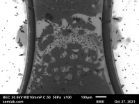 BSE SEM image of solder flux residue between two PTH solder joints.