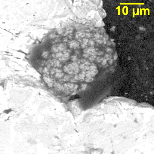 Resistor Failure Analysis SEM Lab Inc.