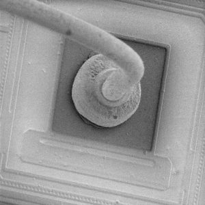 Failure Analysis Example - Gold wire bond on aluminum die pad on decapsulated plastic molded IC.