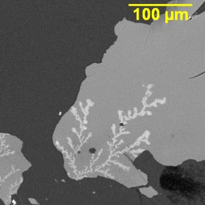 Dendritic growth on a PCBA.