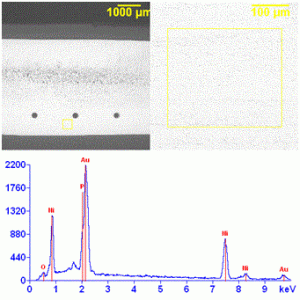 Typical EDS spectrum of ENIG surface.